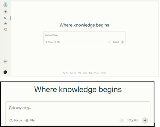 Screenshot of Perplexity screen with magnified area below.